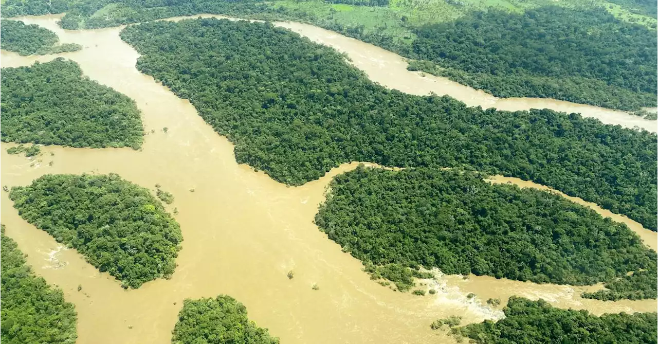 Brazil's clearwater Tapajos river polluted by illegal gold mining