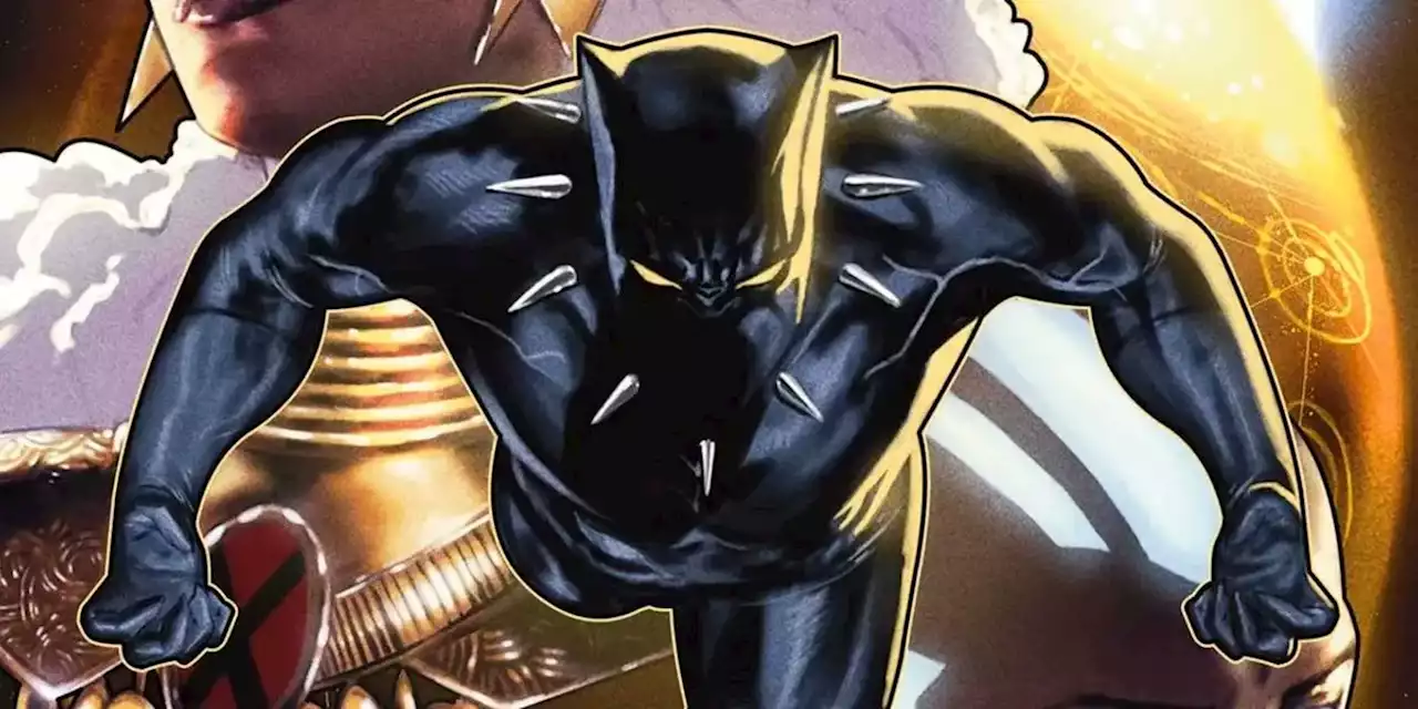 Wakanda Is Getting a New Hero in Black Panther's 200th Issue