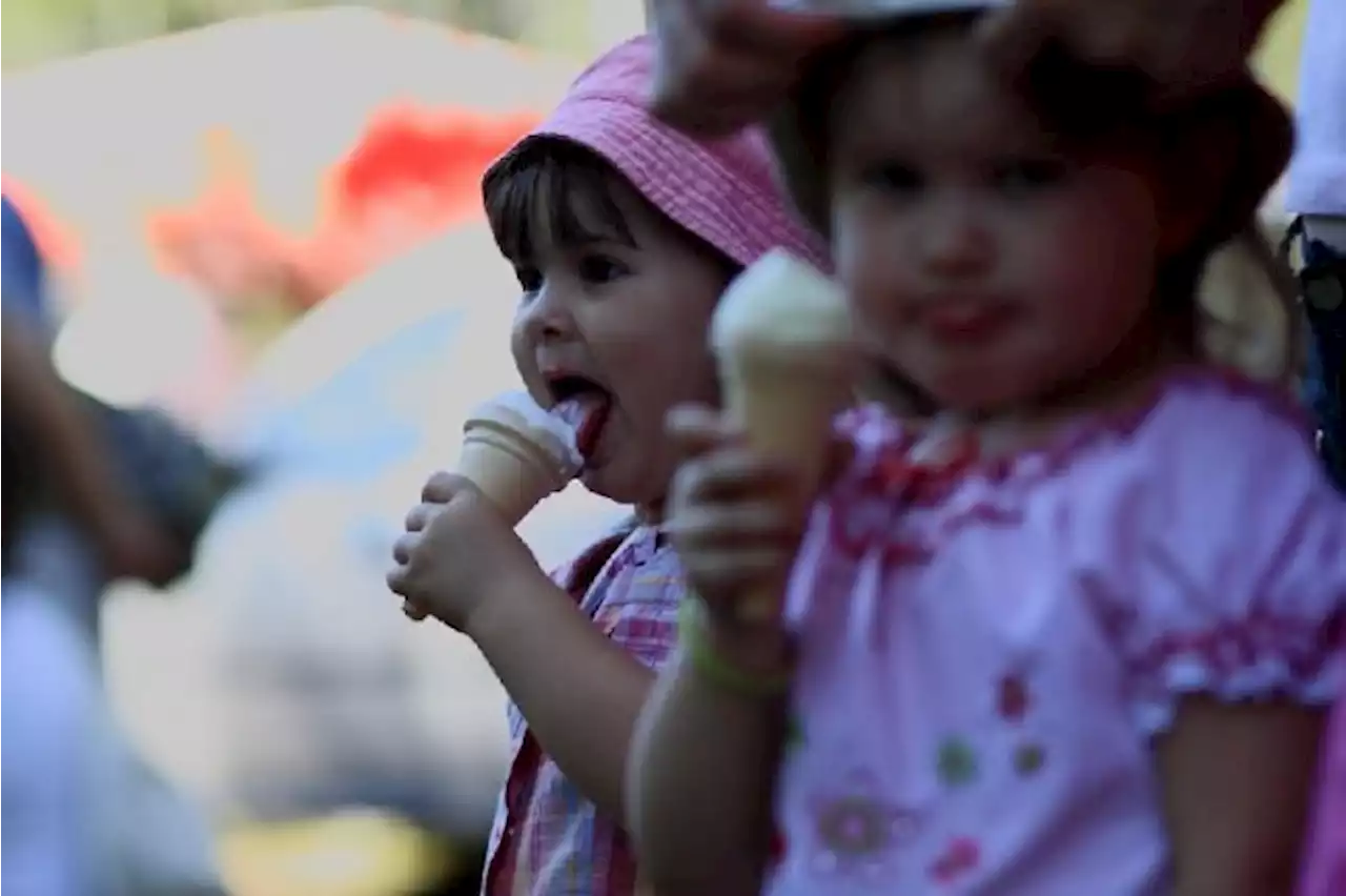 Hari Gizi Nasional, Simak 10 Tips Agar Anak Terhindar dari Obesitas