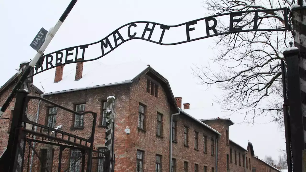 Dutch tourist fined after ‘joke’ Nazi salute at Auschwitz