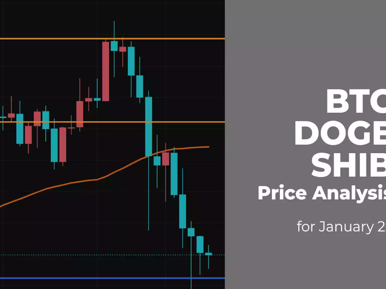 BTC, DOGE and SHIB Price Analysis for January 25