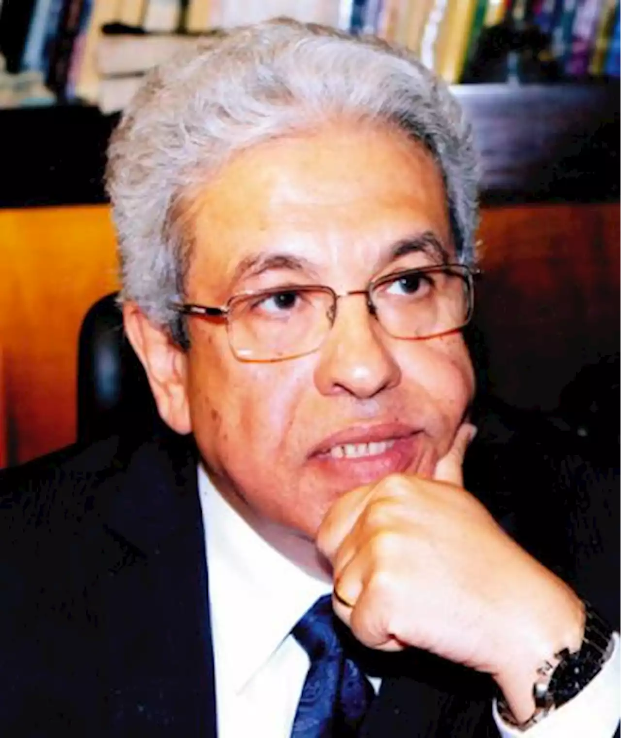 عبد المنعم سعيد - نظرة من حافة الهاوية