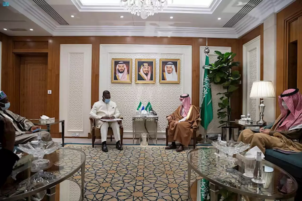 وزير الخارجية يبحث فرص التعاون مع وزير خارجية سيراليون
