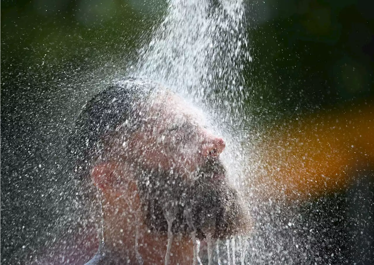 Legionellen: Gefahr aus der Dusche