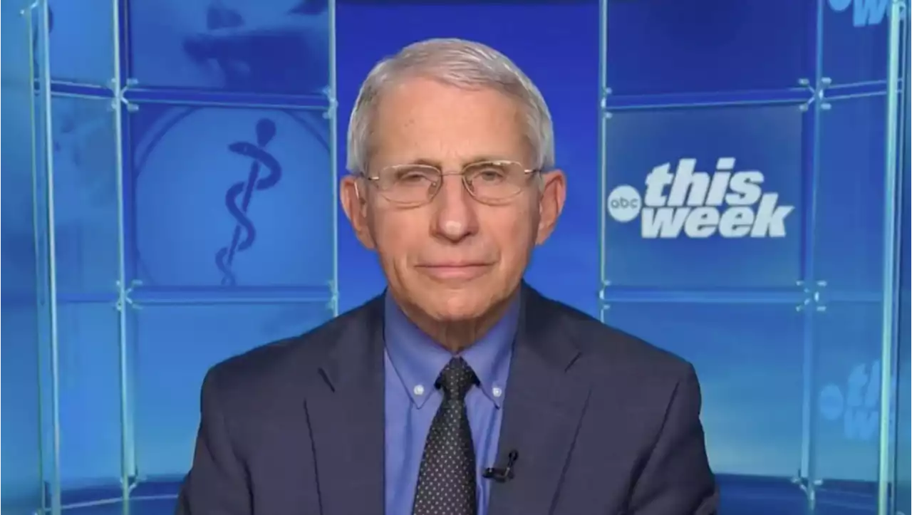 Dr. Fauci Says Omicron Will Cause 'Pain and Suffering' in These States