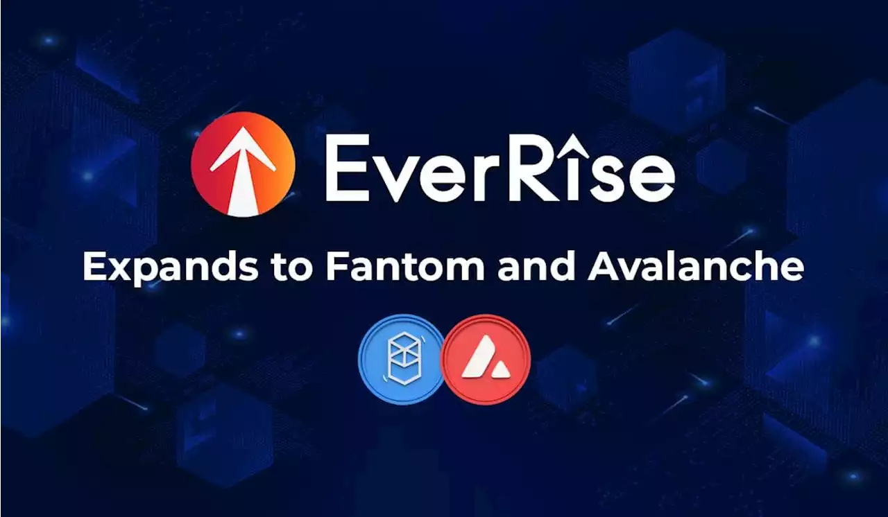 EverRise Expands DeFi Security Infrastructure to Fantom and Avalanche – Press release Bitcoin News