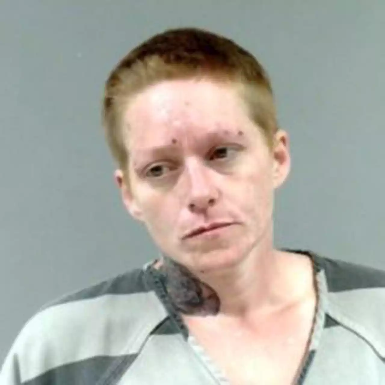 Ashtabula County woman pleads guilty to setting husband on fire