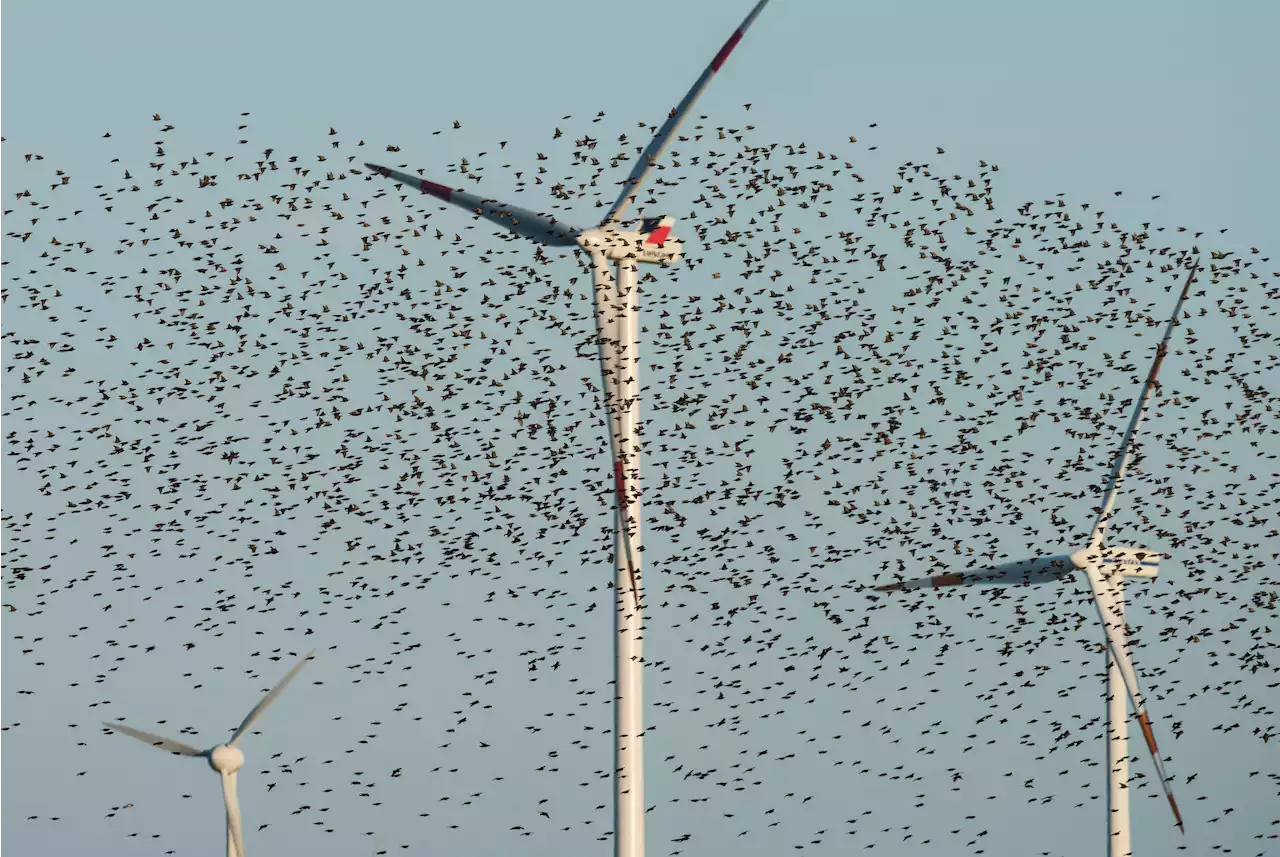 Klimaschutzgesetz - Umwelthilfe begleitet erneute Verfassungsbeschwerde