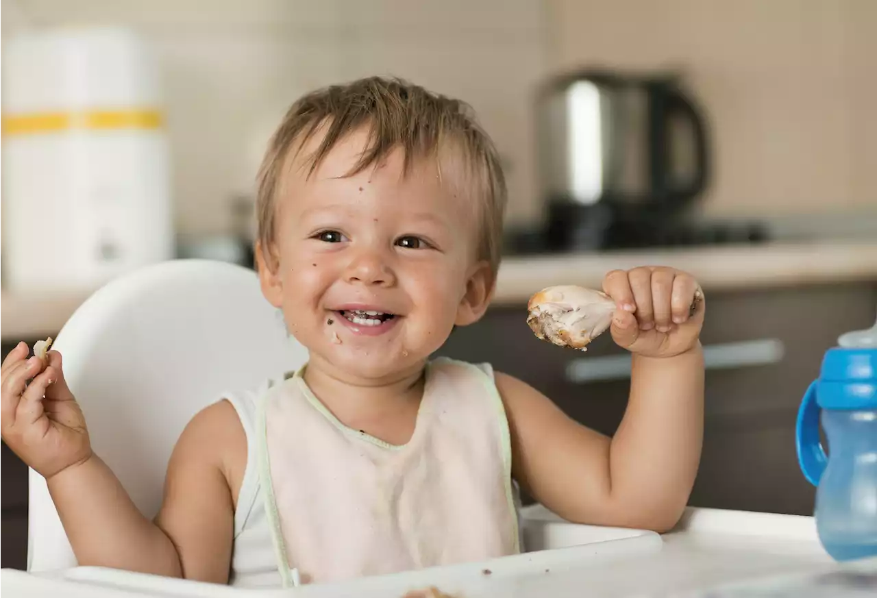 8 baby chicken recipes for tots aged 6-12 months