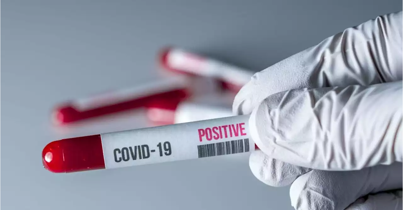 COVID-19: 5,605 new cases with 49 deaths in the past week | Newstalk