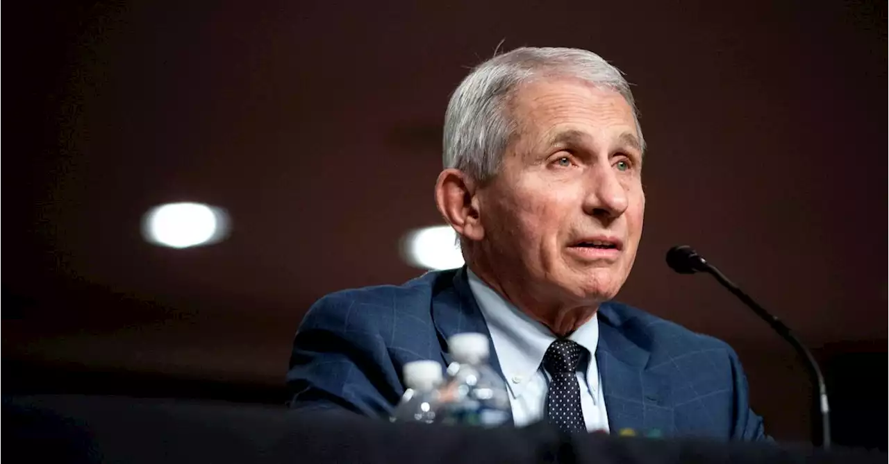 Fauci says 'prudent' to have Omicron vaccine, but may not be needed