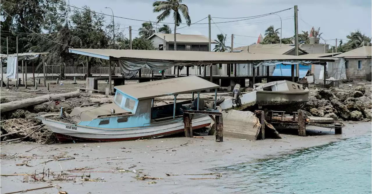 Relief efforts ramp up in Tonga, more aid arrives