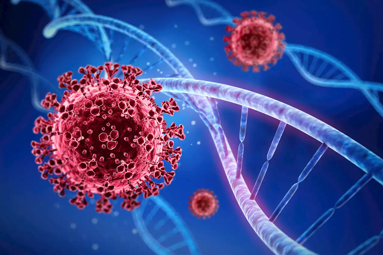 New covid variant 'no cause for concern', says NICD