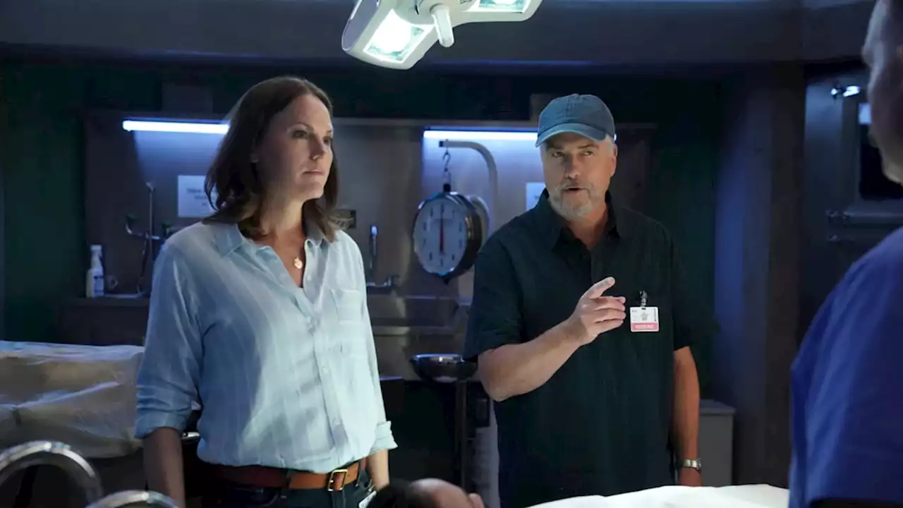 Jorja Fox Exits CSI: Vegas Ahead of Second Season