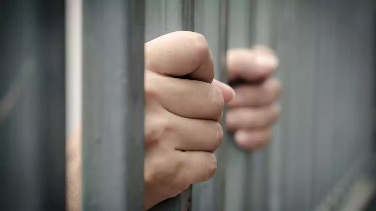 US Sentences Bitcoin Seller to 1 Year in Jail for Defrauding Investors – Regulation Bitcoin News