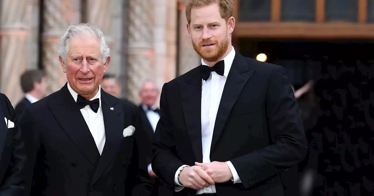 Prinz Harry: Erneute Annäherungsversuche? Er ist in 'geheimen Gesprächen' mit Vater Charles