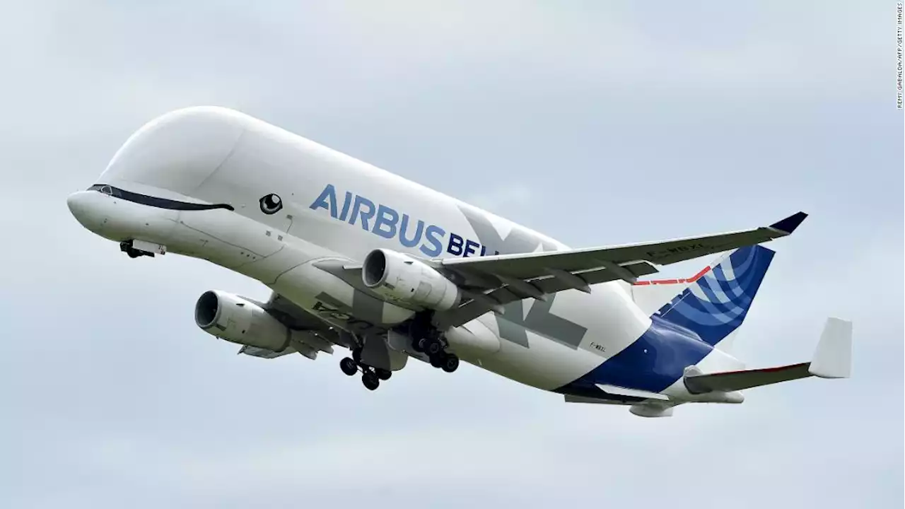 Airbus to charter its popular Beluga XL 'whale plane'