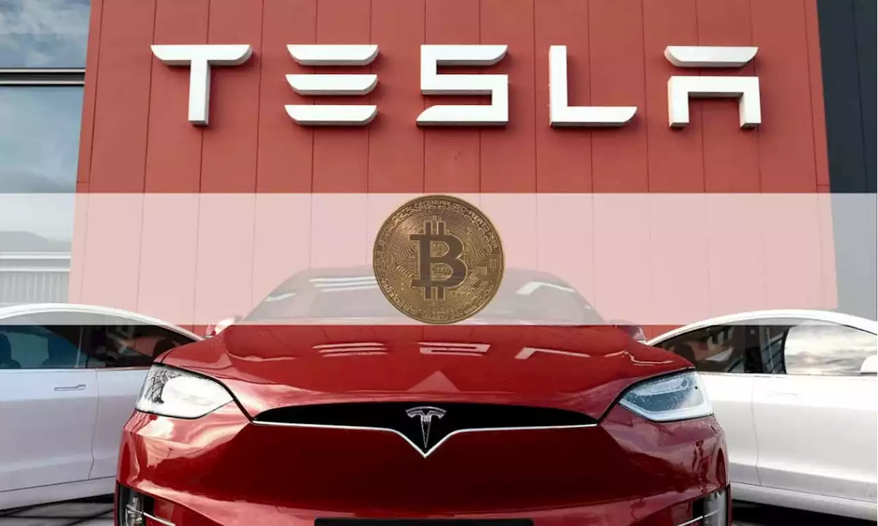 No Changes in Tesla’s Bitcoin Holdings in Q4 2021, The Financial Statement Shows