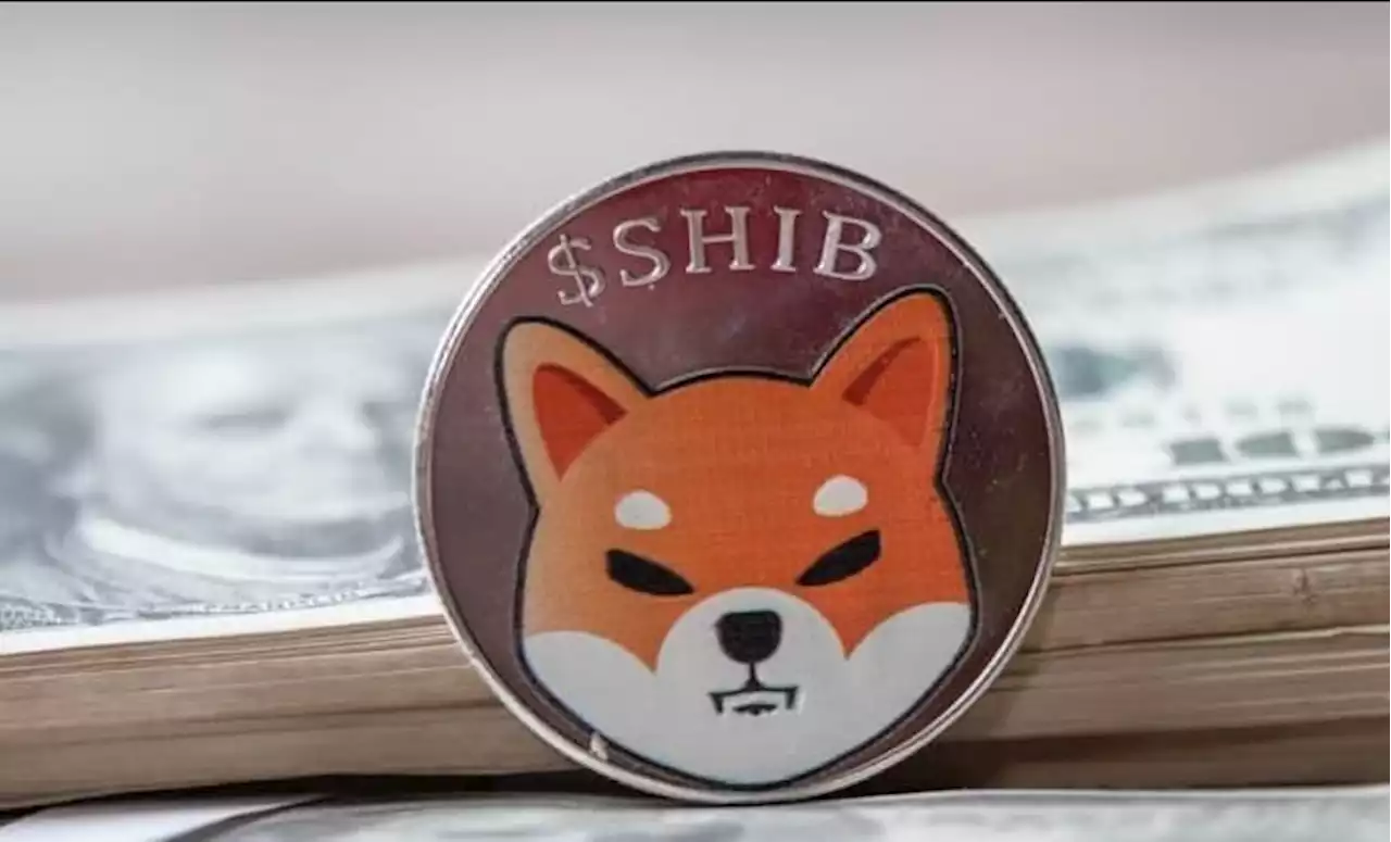 Shiba Inu hype: 4 of the top 10 trending cryptocurrencies have ‘SHIB’ in their ticker