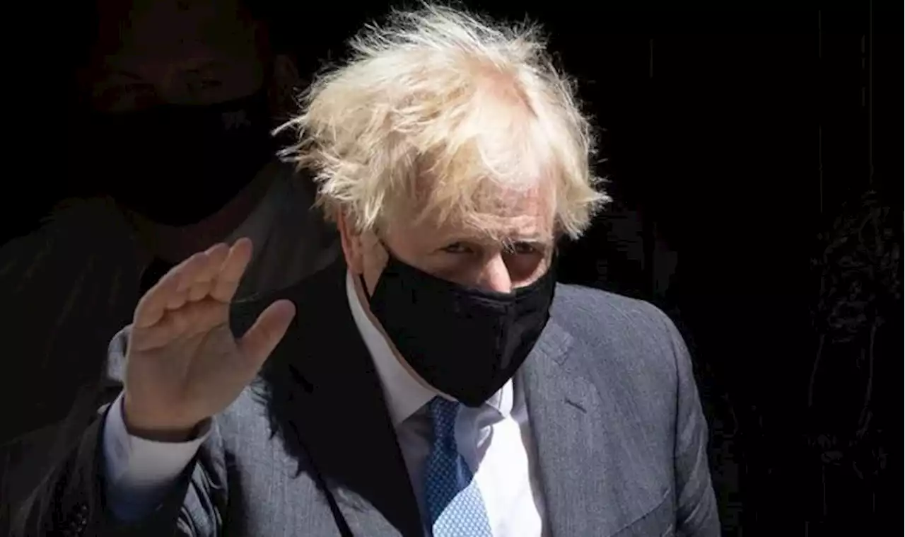 Fearful Boris Johnson swears to contest Sue Gray report - ‘Will do exactly what I said!’