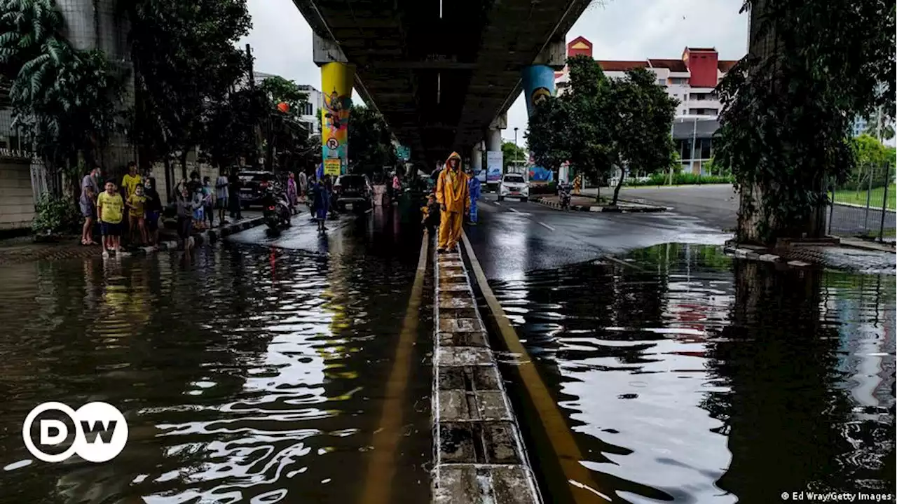 इंडोनेशिया की नई राजधानी से पर्यावरण को हो सकता है गंभीर नुकसान | DW | 27.01.2022