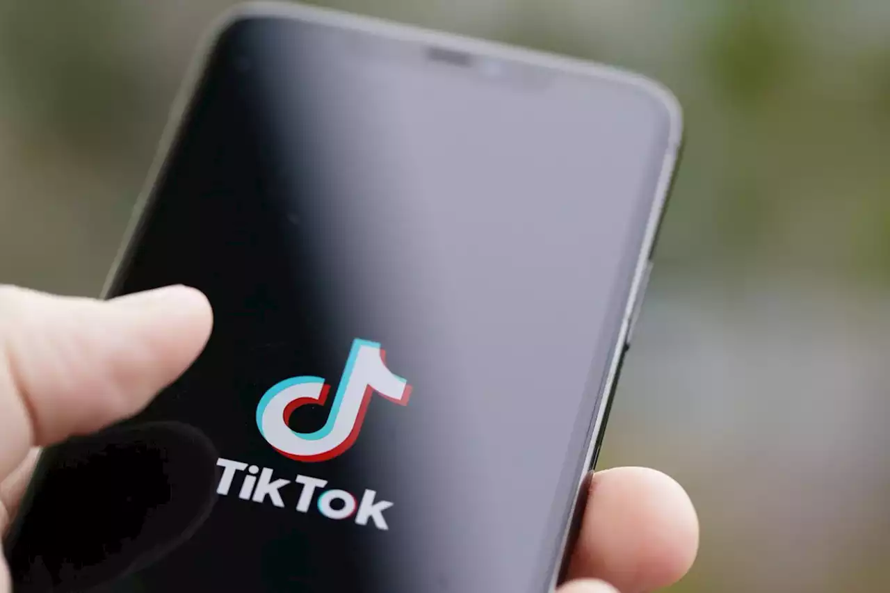 TikTok will add PSAs to Holocaust-related content | Engadget