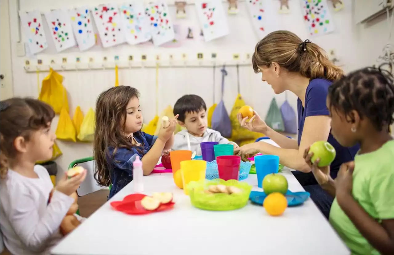 Why We Must Incorporate Nutrition Education Into Our Schools