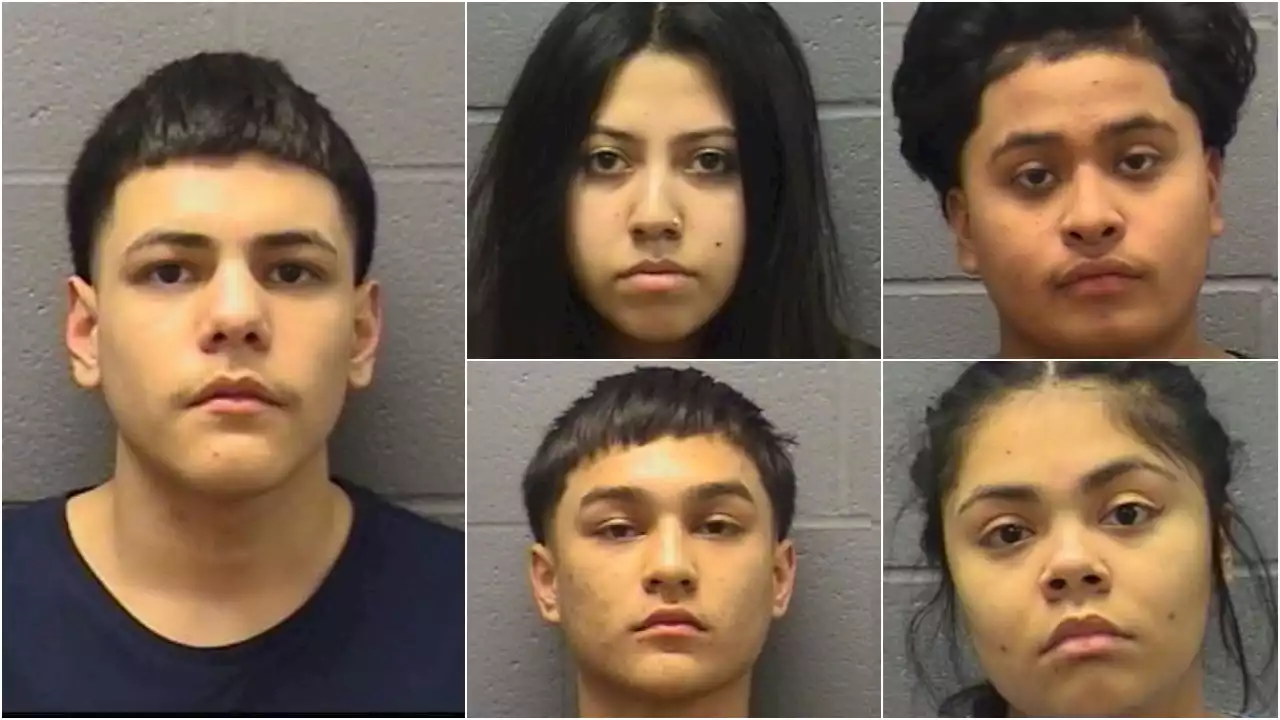 5 charged with mob action in Elgin shooting