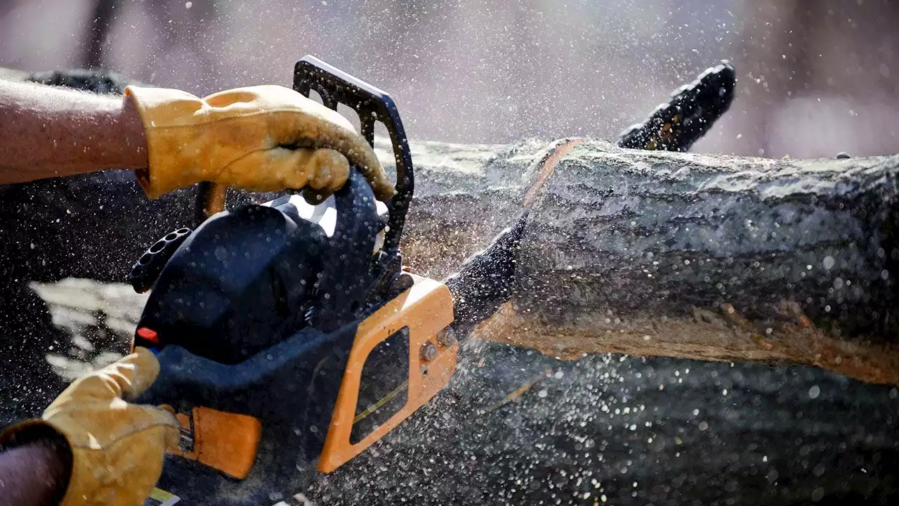 DeWalt recalls thousands of chainsaws due to injury hazard