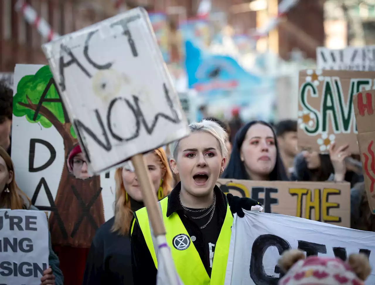 One in five UK councils ‘have not published plans to tackle climate change’