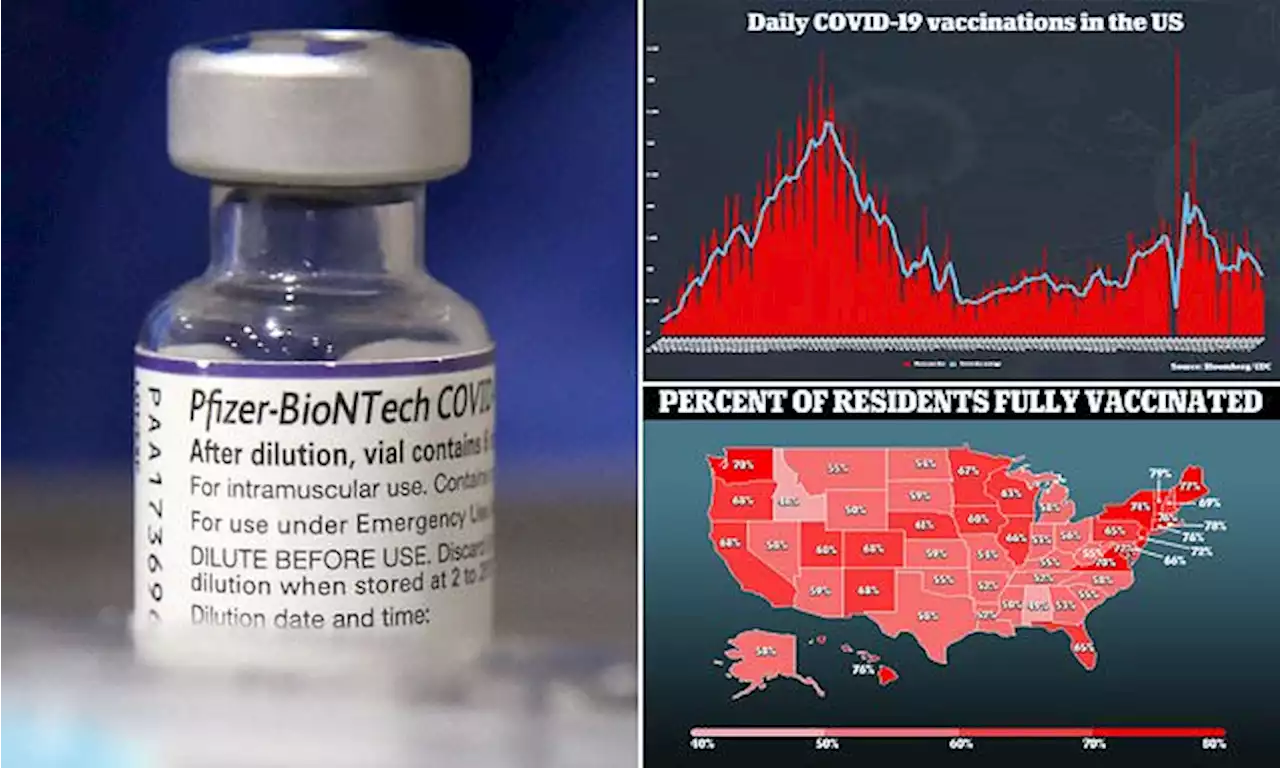 Pfizer begins clinical trials for Omicron-specific COVID-19 vaccine