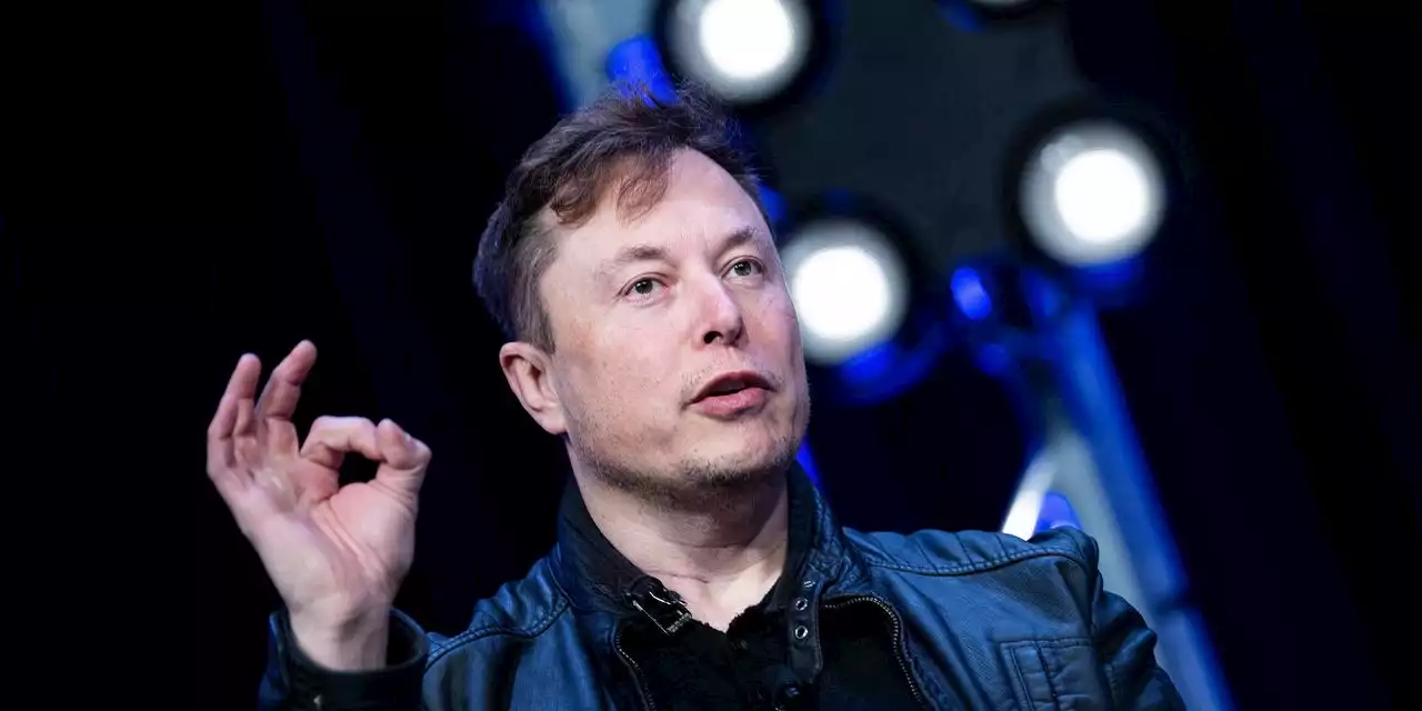 Why isn't profit enough for Elon Musk?