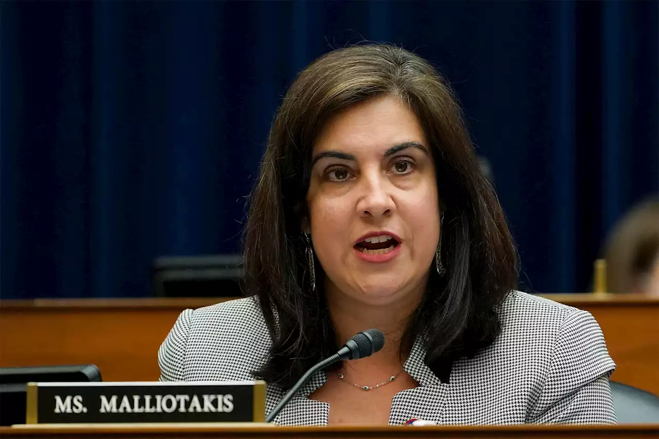 Dems plan to topple GOP Rep. Malliotakis in redistricting plan