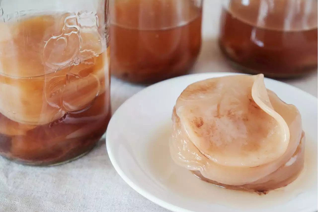 Turns out kombucha SCOBYs could make good water filters