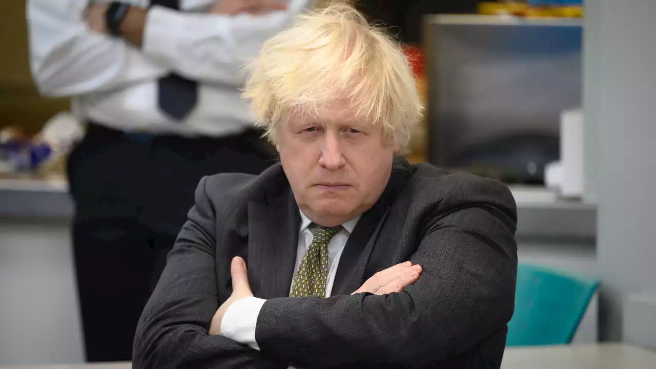 Boris Johnson accused of lying about Afghanistan animal rescue