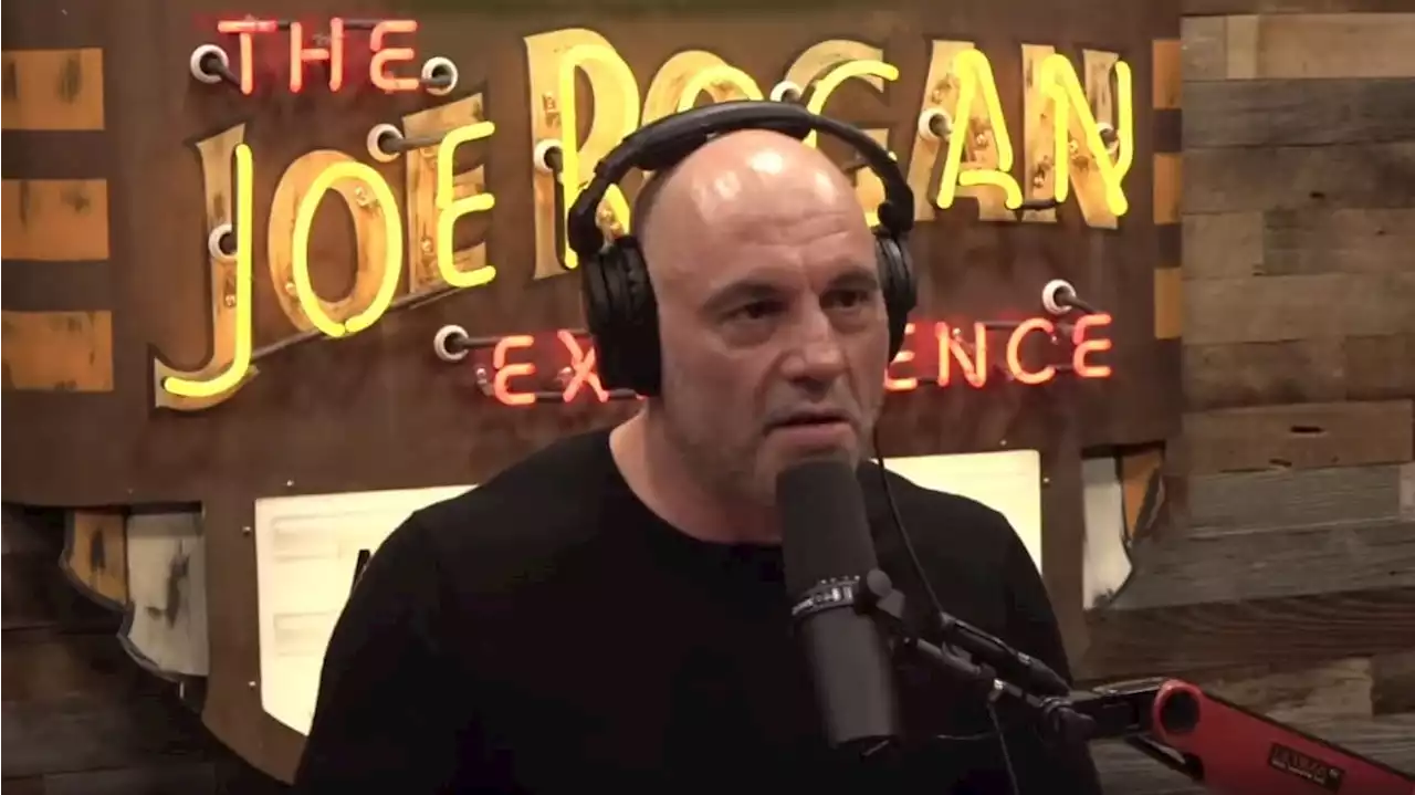 Joe Rogan: ‘Very Strange’ to Call People Black Unless They’re From ‘Darkest Place’ of Africa