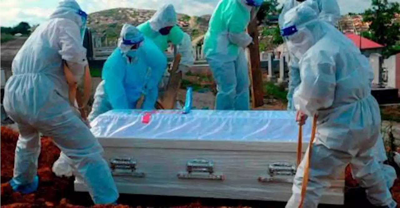 Covid-19: 12 fatalities recorded