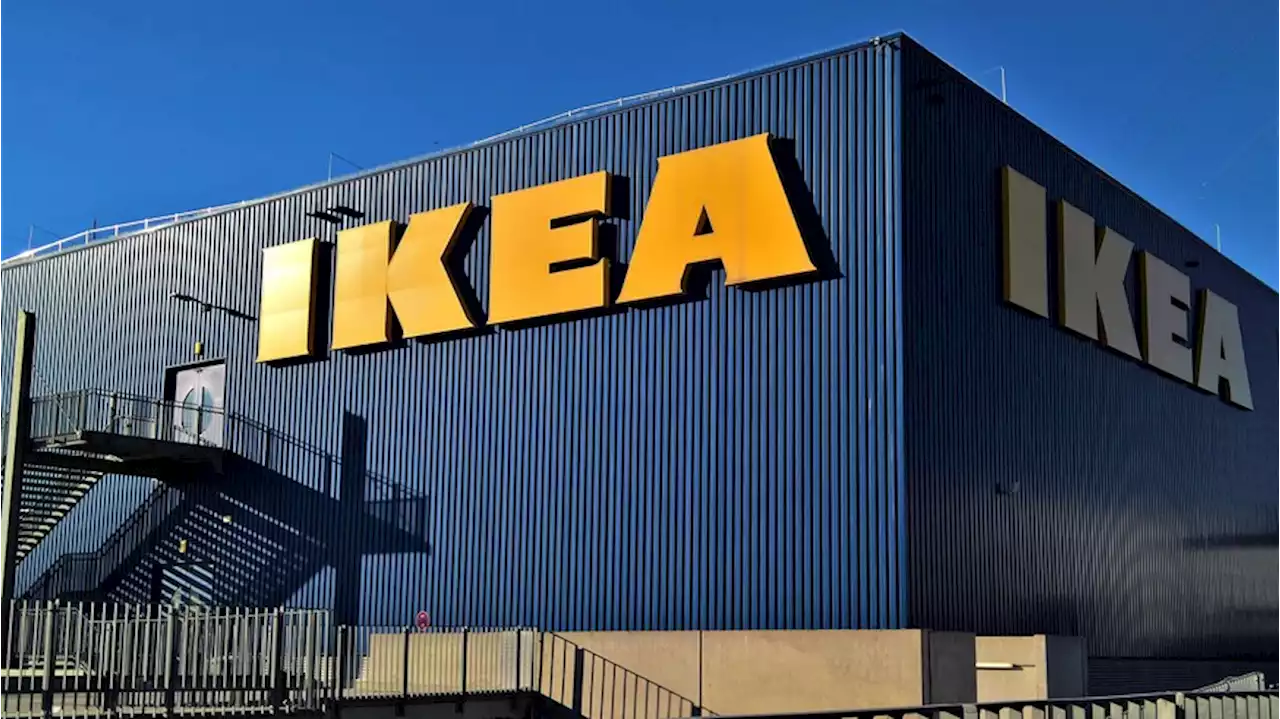 Für einen nachhaltigen und tierleidfreien Jahresstart: Auch Ikea macht mit beim 'Veganuary'