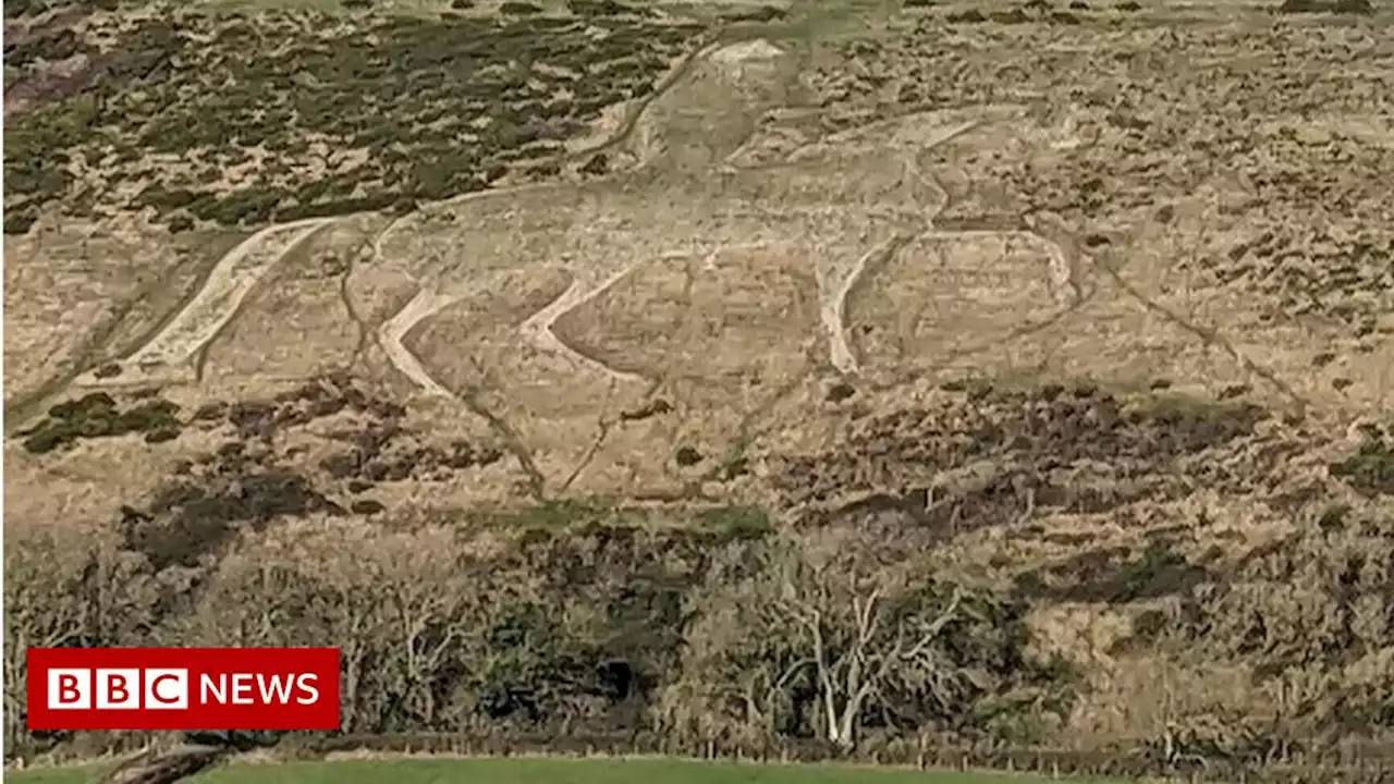 Osmington White Horse: Calls for Dorset Council to preserve chalk figure