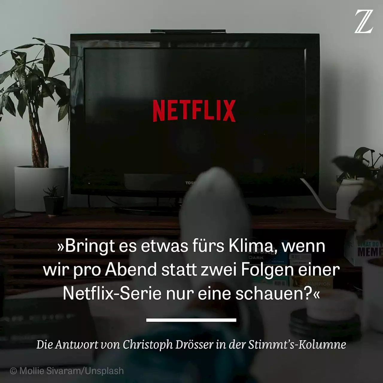 ZEIT ONLINE | Lesen Sie zeit.de mit Werbung oder im PUR-Abo. Sie haben die Wahl.