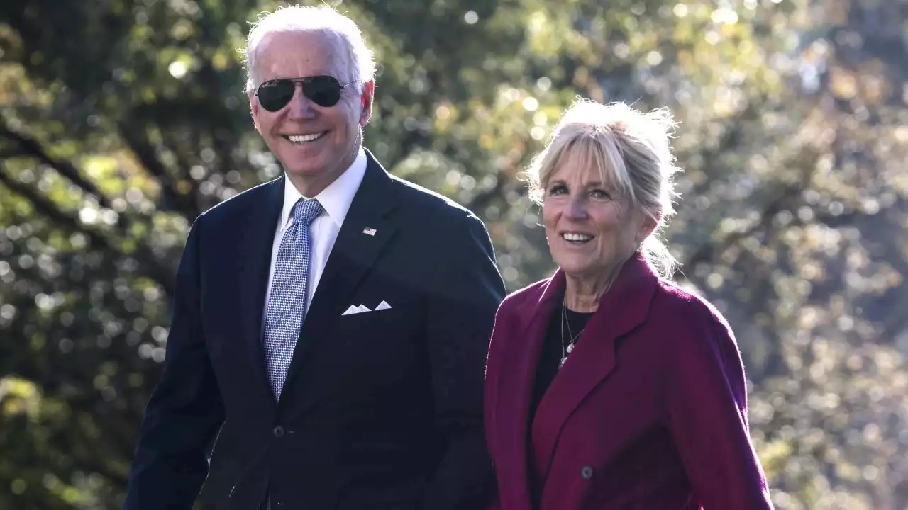 President Joe Biden and Wife Jill Welcome New Cat, Willow