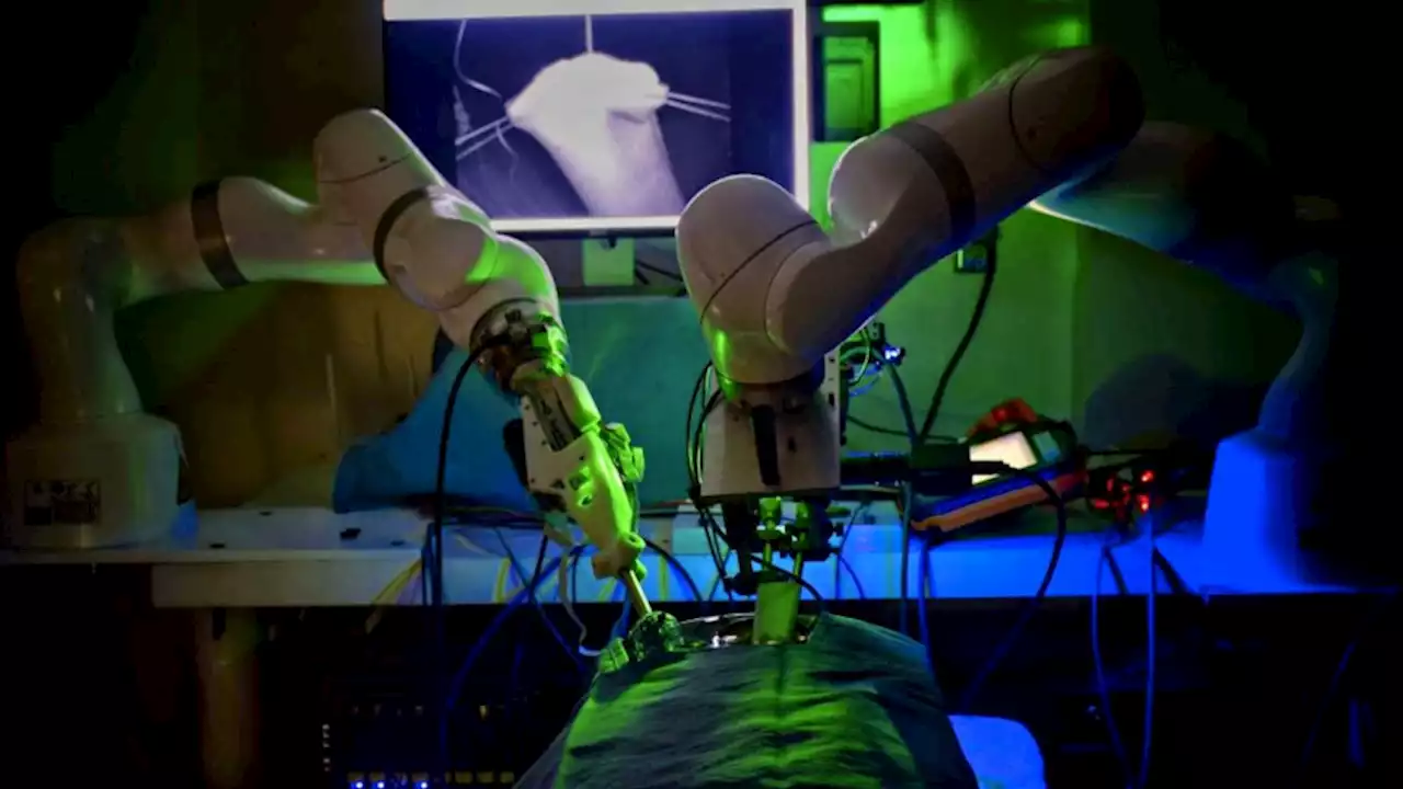 A Robot Performed Soft-Tissue Surgery on Pigs. Without Human Help?