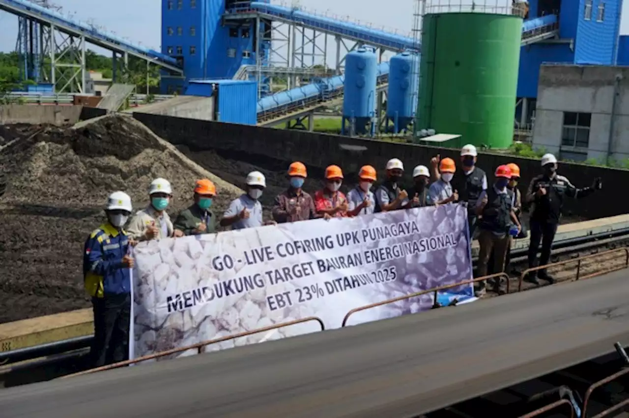 Green Booster, PLN UPK Punagaya Manfaatkan Limbah Domestik Bonggol Jagung sebagai Campuran Batubara