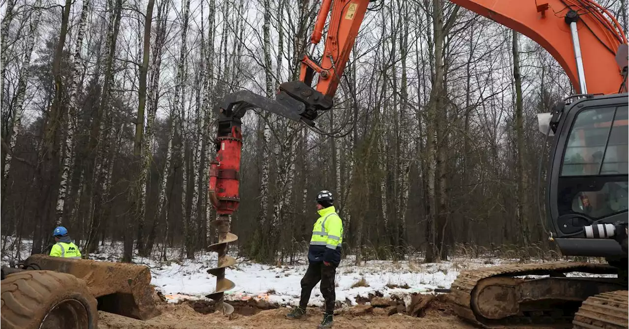 Polish-Belarus border wall threatens primeval forest, environmentalists say