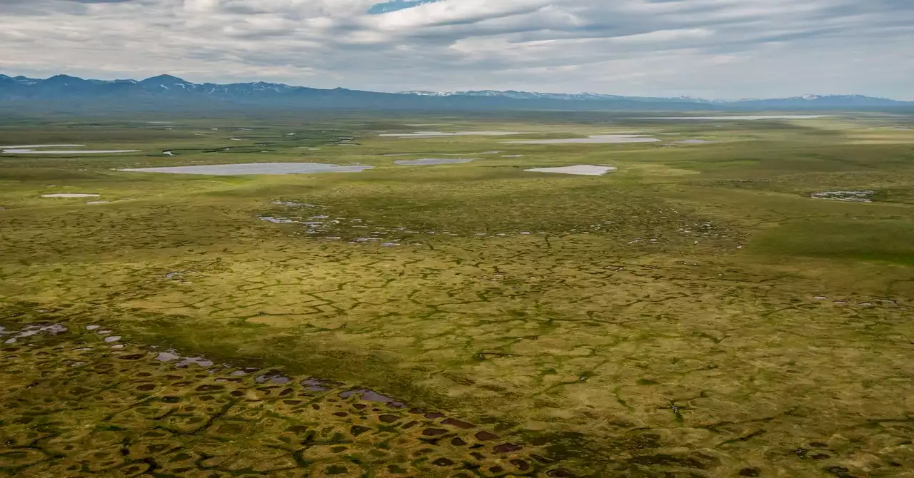 Beautiful Yet Unnerving Photos of the Arctic Getting Greener