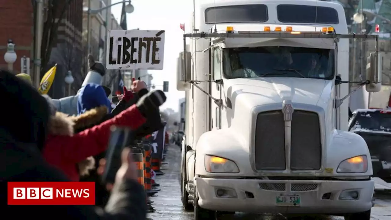 Freedom Convoy: Why Canadian truckers are protesting in Ottawa