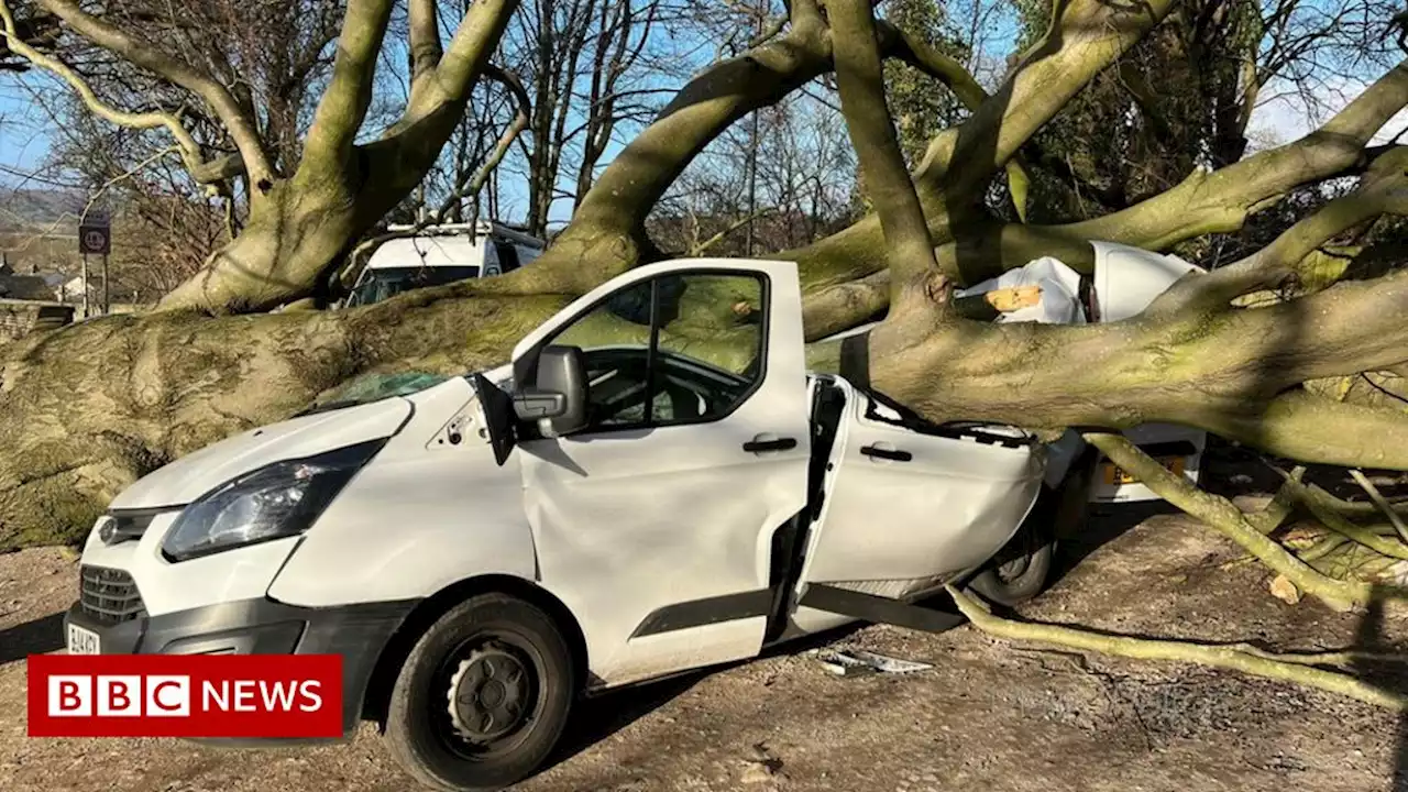 Storm Malik: 'Very lucky' man escapes van crushed by tree