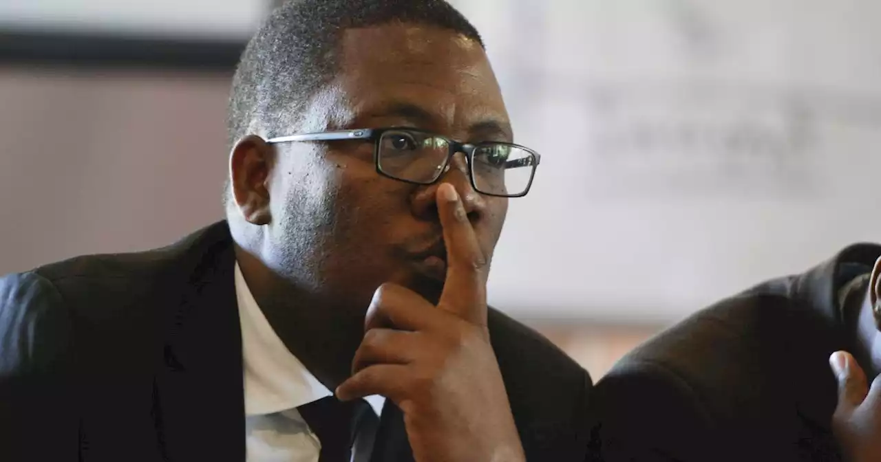 WATCH: Lesufi pays tribute to slain deputy school principal