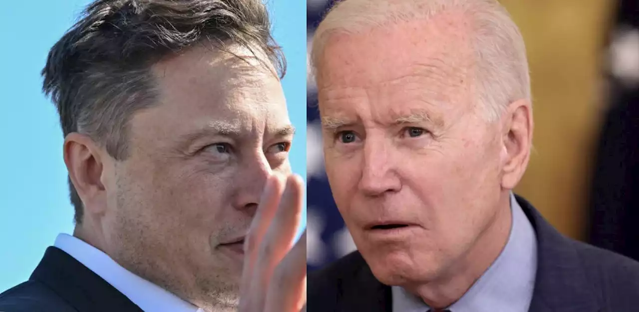 Musk Calls Biden ‘A Damp Sock Puppet’ As Tesla Shares Tank