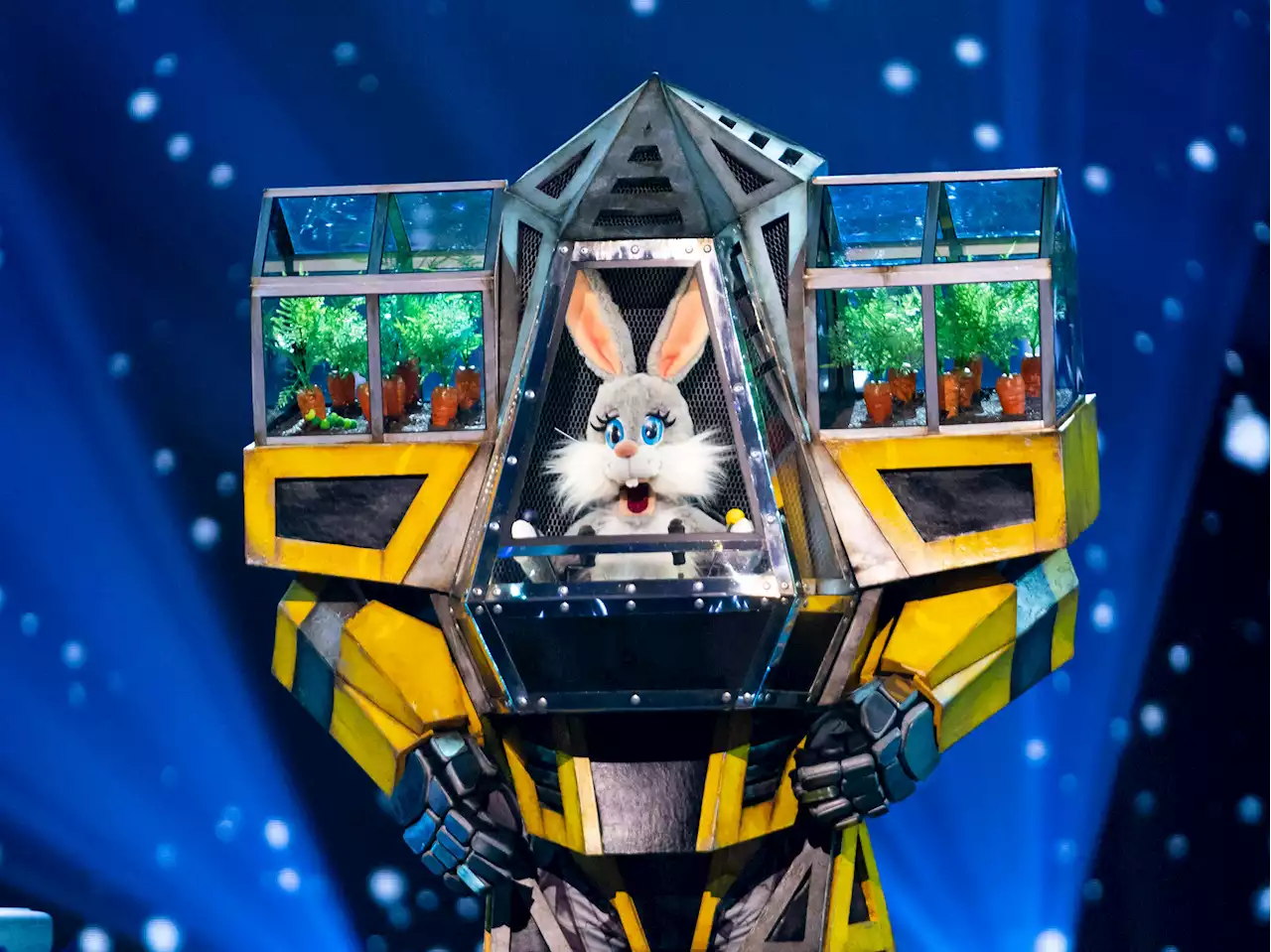 Who is Robobunny on The Masked Singer?